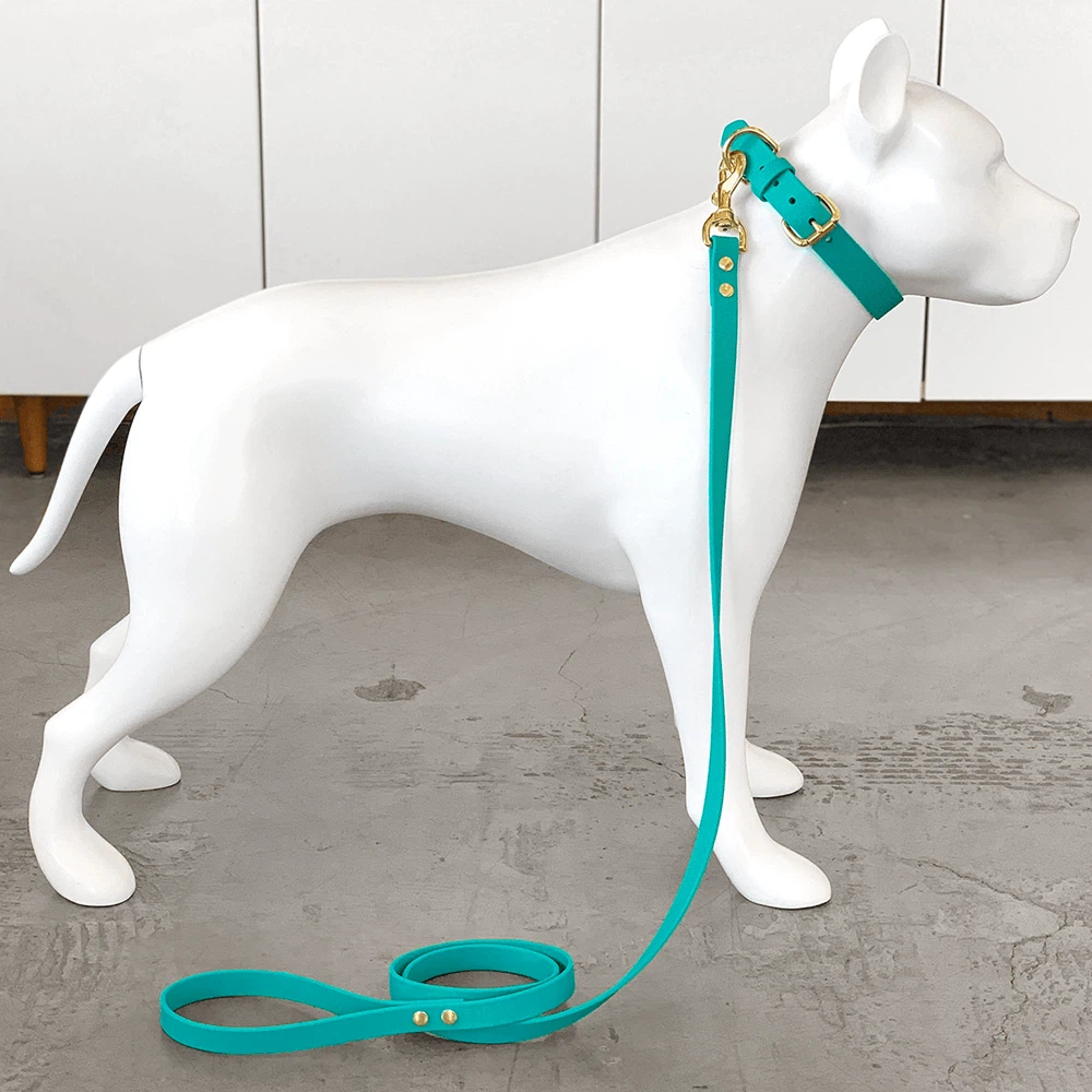 Mega Zoo izložba kućnih ljubimaca u Koreji